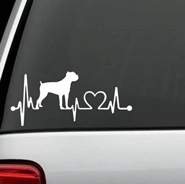 A Dog With Pulse Lines on Back Mirror