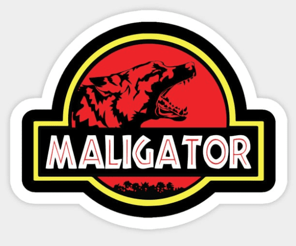 Maligator Logo on White Color Background